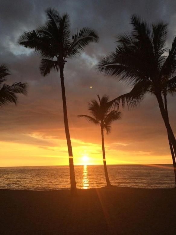 Newly Renovated Condo With Sup Paddle Boards And Golf Clubs Included Kailua-Kona Esterno foto