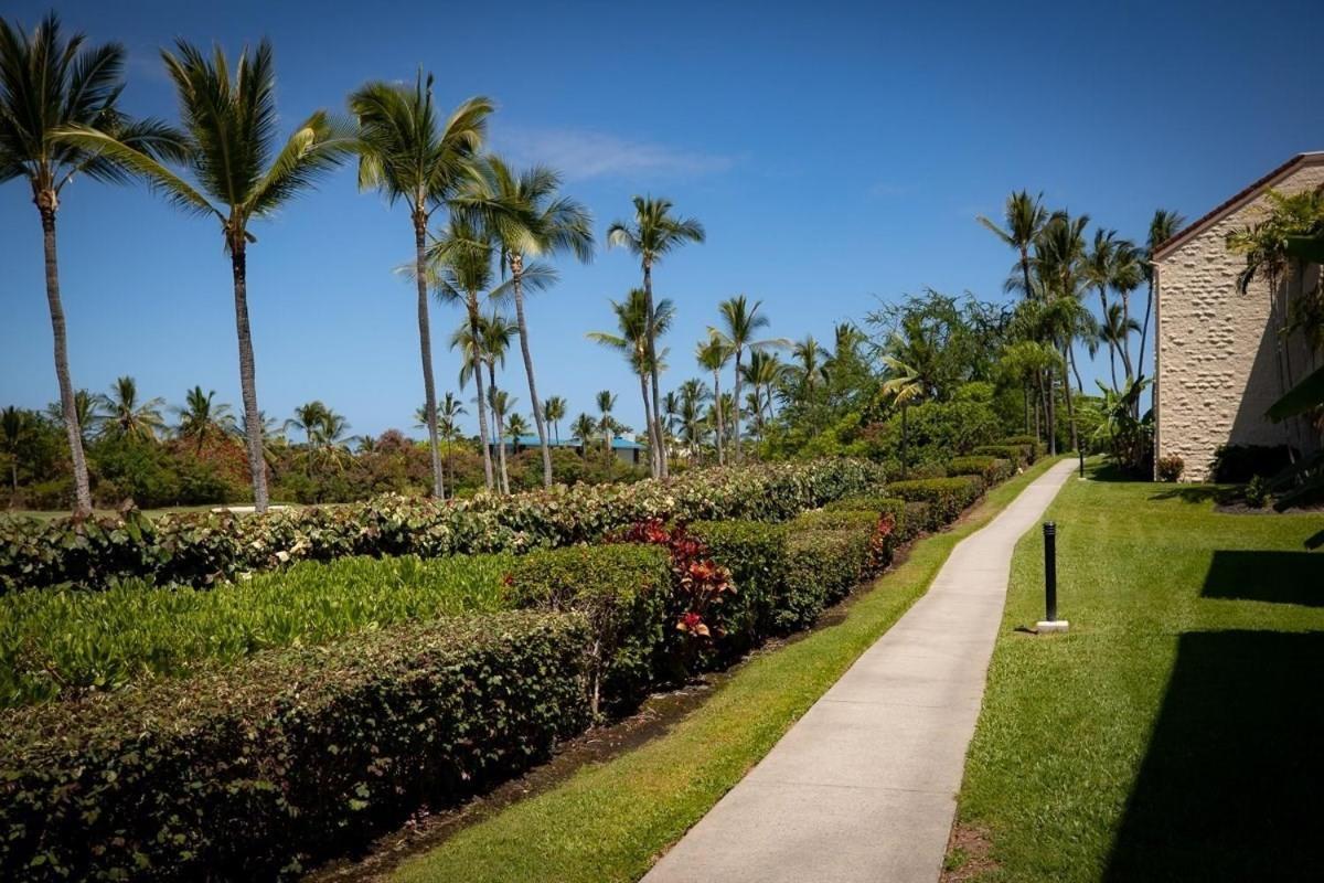 Newly Renovated Condo With Sup Paddle Boards And Golf Clubs Included Kailua-Kona Esterno foto