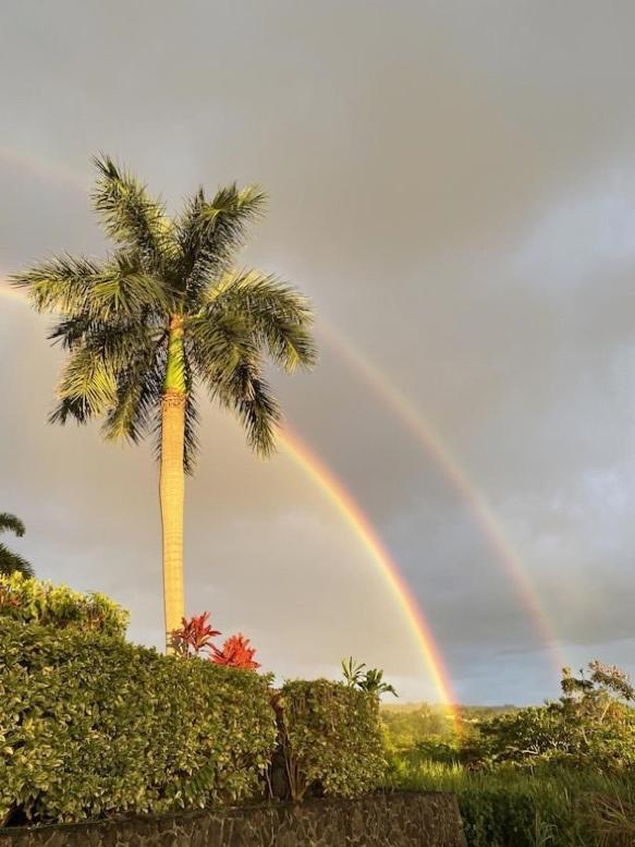 Newly Renovated Condo With Sup Paddle Boards And Golf Clubs Included Kailua-Kona Esterno foto